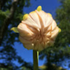 Meet your Posher, Ethan